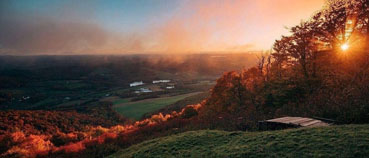 View of Albano Farms